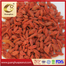 Organic Best Quality Dried Goji Berry New Crop